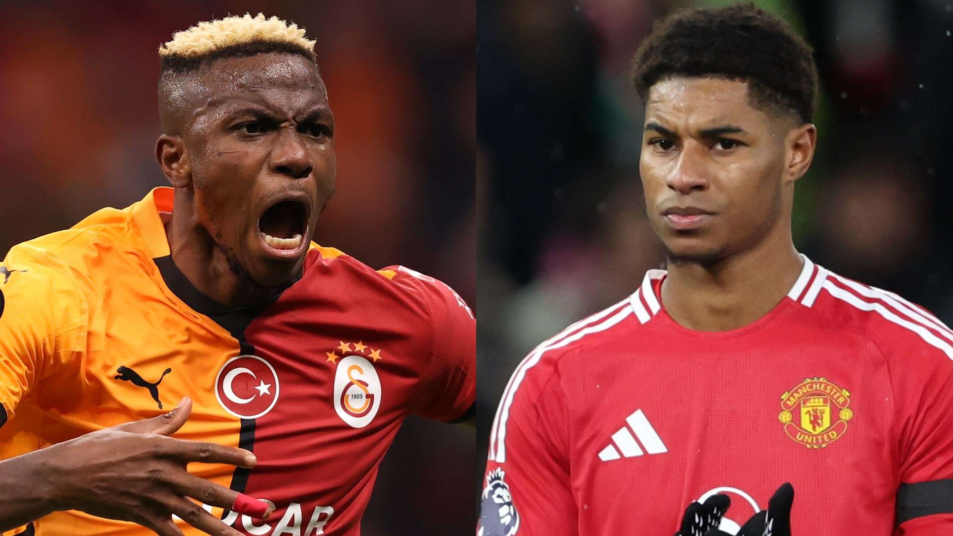 择不离开 择不离开